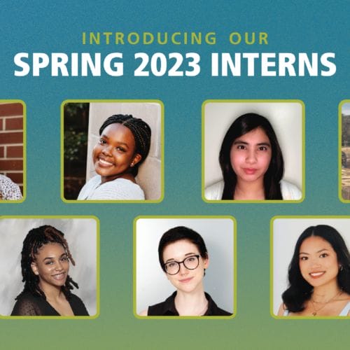 Headshots for Active Minds' spring 2023 interns with text reading, 