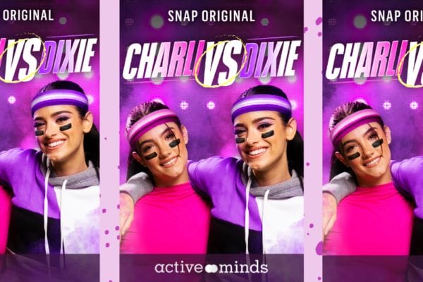 d'amelios social blog banner