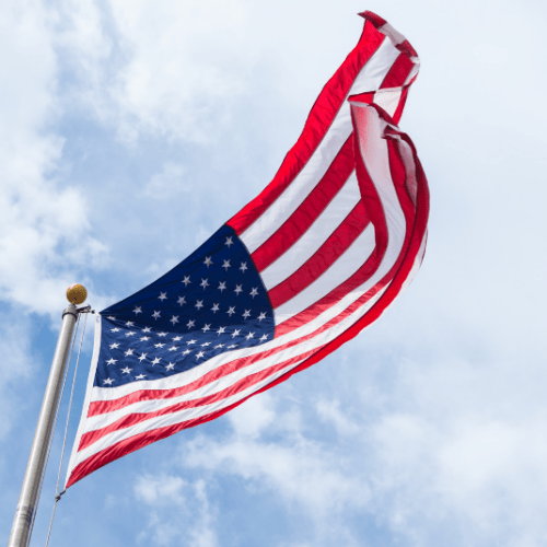 veterans day socials blog