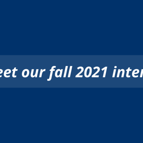 fall 21 interns blog social banner
